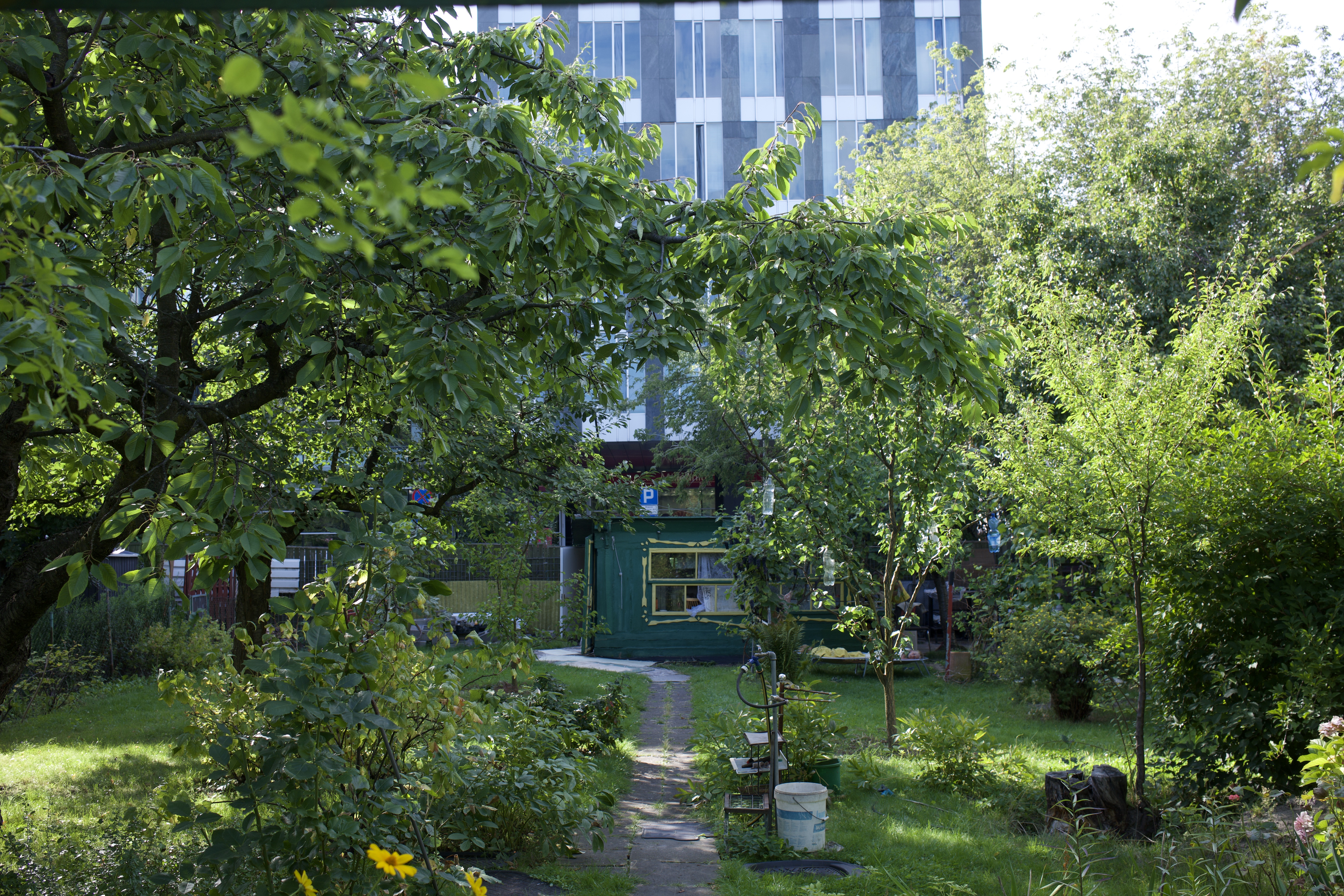 TOD_im._Mai%20Berezowskiej_2023._fot._Agnieszka_Dragon